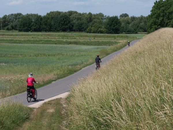 Radfahrer am Weichselradweg