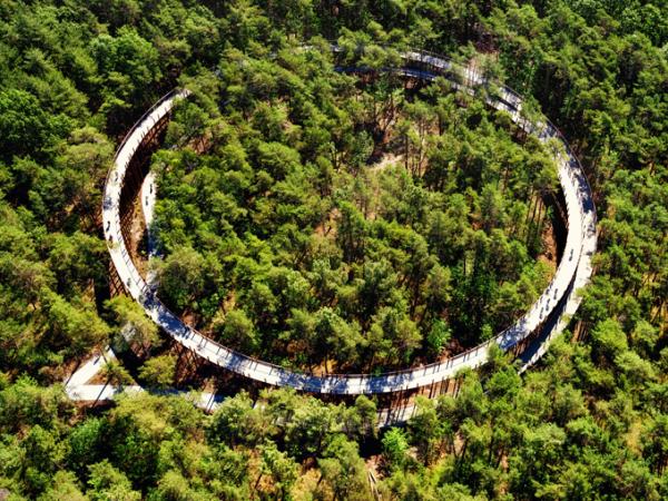 Fietsen door de Bomen - Baumwipfelpfad