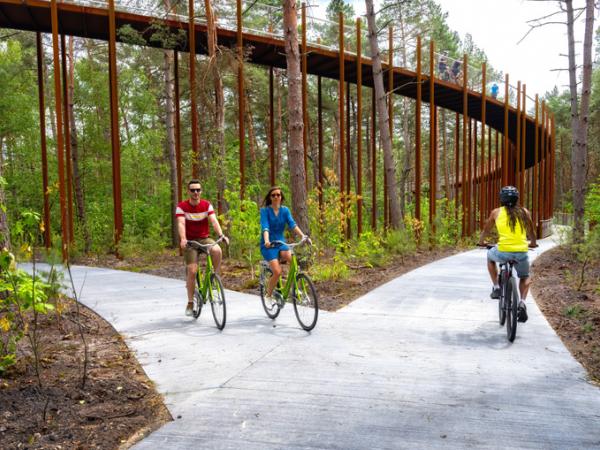 Radfahrer unter dem Fietse door de Bomen