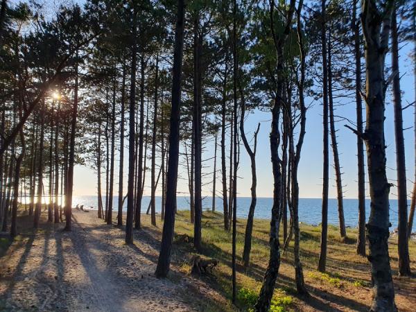 Landschaft zwischen Helsingor und Hornbaek 