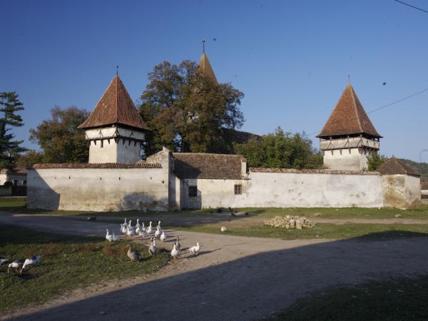 Gnseschar vor einer Kirchenburg