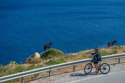 Radfahrer mit Ziege auf Amorgos