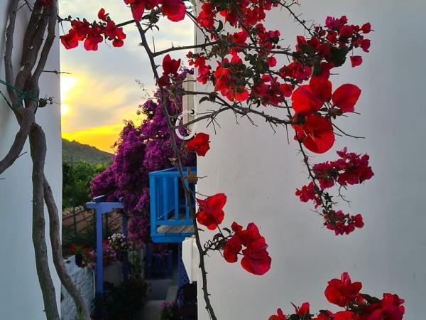 Alonissos Chora Blumen im Sonnenuntergang