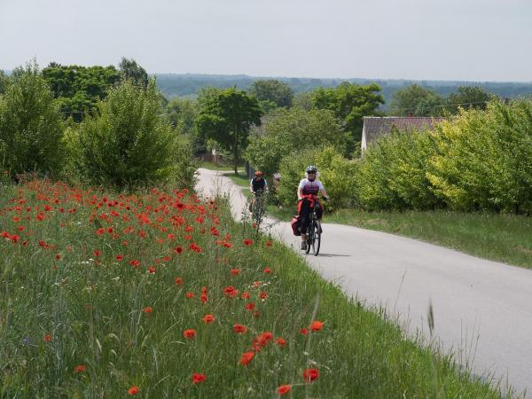 Radfahrer am Weichselradweg