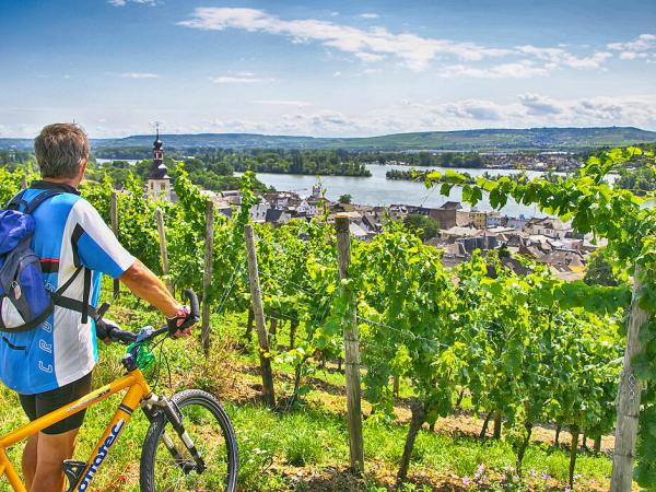 Radfahrer bei Rdesheim