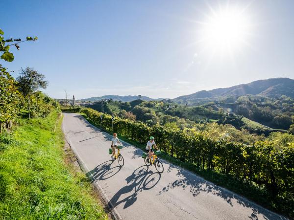 Radfahren in der Weinregion