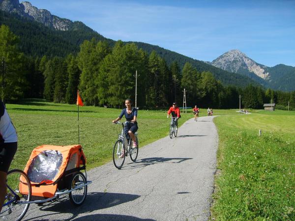 Radfahrer am Drauradweg