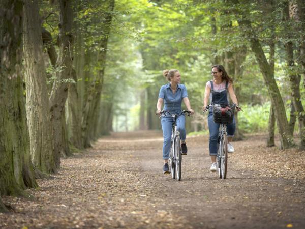 Radfahrer bei Bokijk