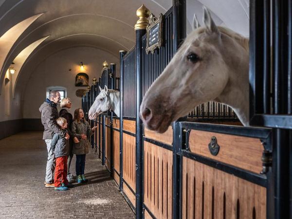 Stallungen in Lipica