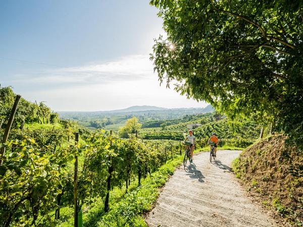 Durch die Weinberge radeln