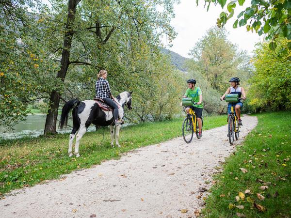 Radler begegnen einem Pferd