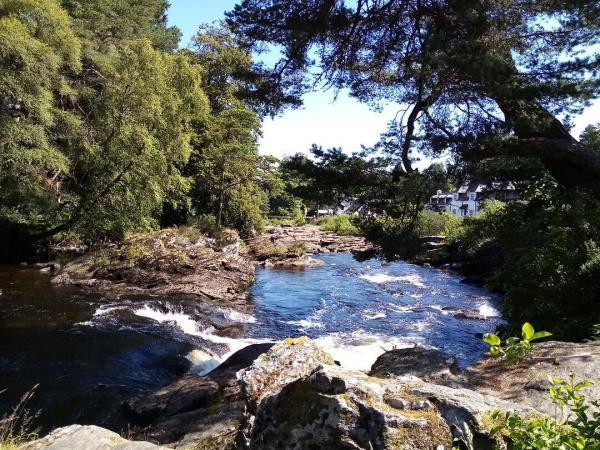 Flusslandschaft