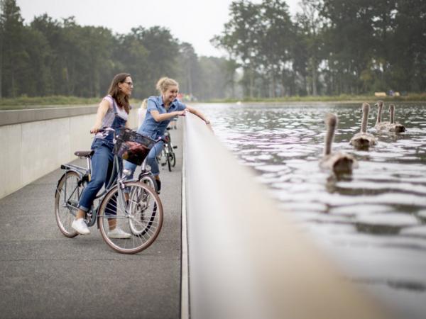 Radfahrer am Wasser mit Schwnen