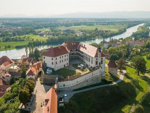 Blick auf Ptuj mit Burg