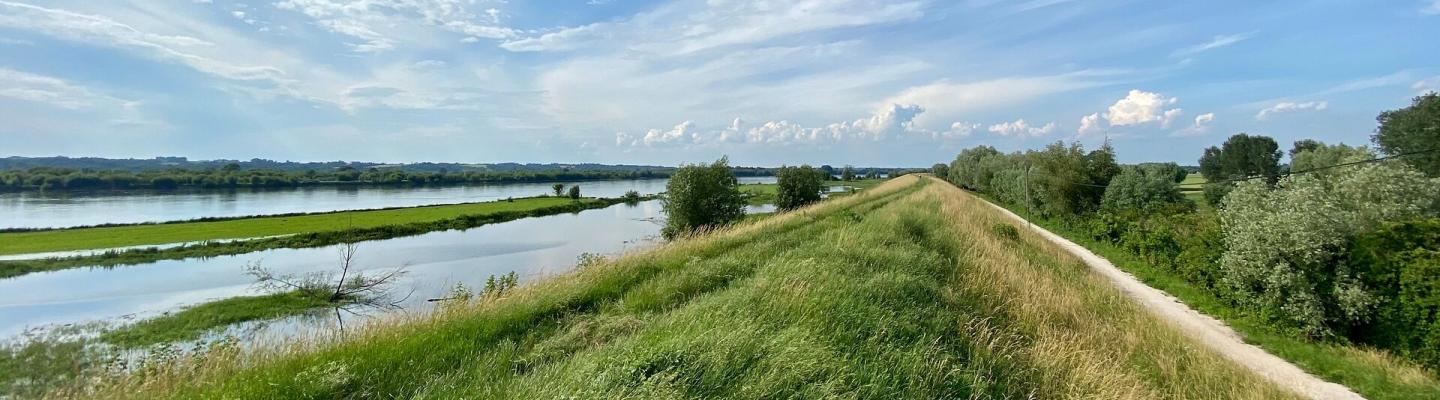 Landschaft am Weichseldamm