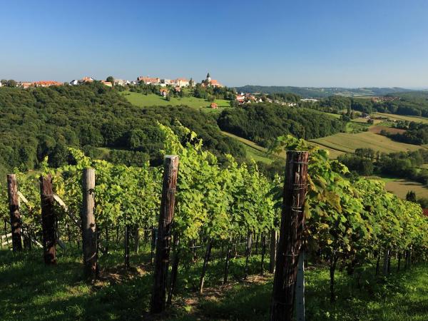 Kloecher Weinstrasse mit Blick auf St. Anna am Aigen