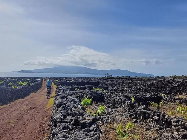 Radfahrerin in der Vulkanlandschaft auf Pico