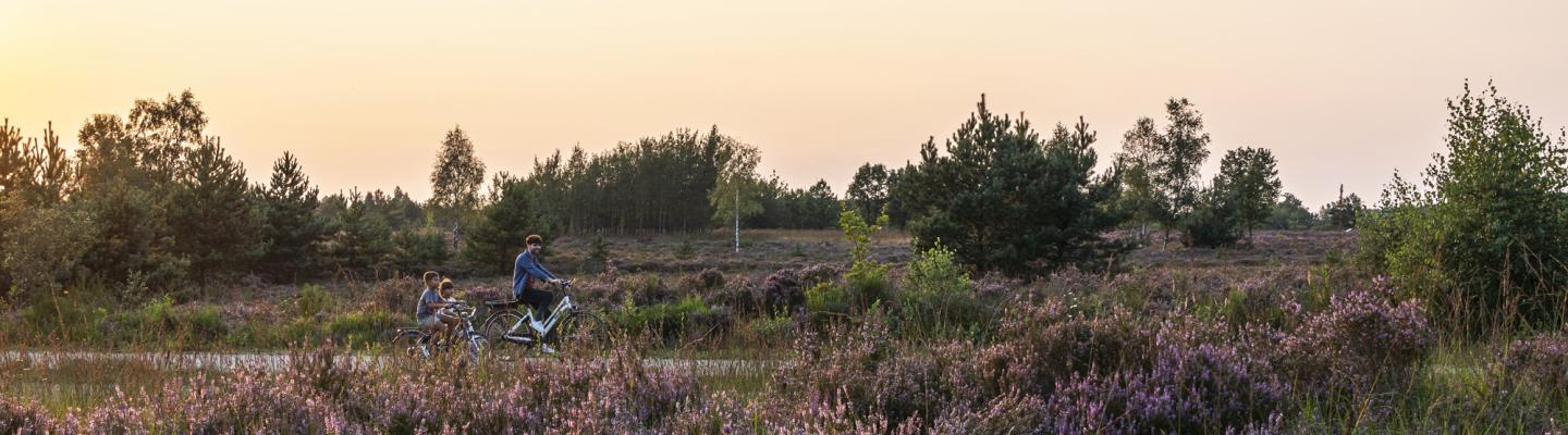 Radfahrer in der Heide