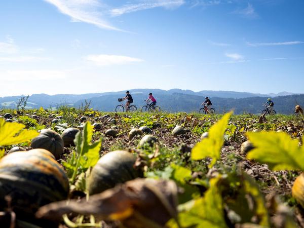 Radfahrergruppe vor Krbisfeld in Steiermark