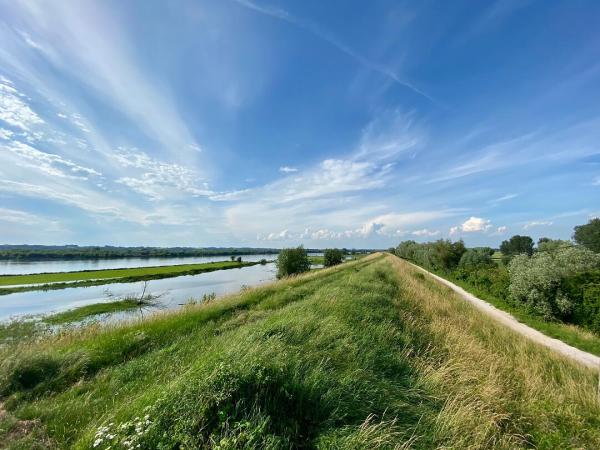 Landschaft am Weichseldamm