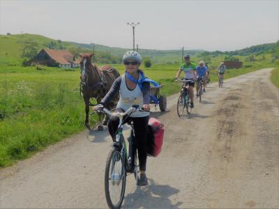 Radfahrer neben Pferdewagen