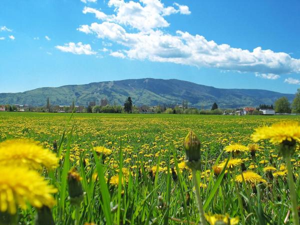 Landschaft Pohorje bei Maribor