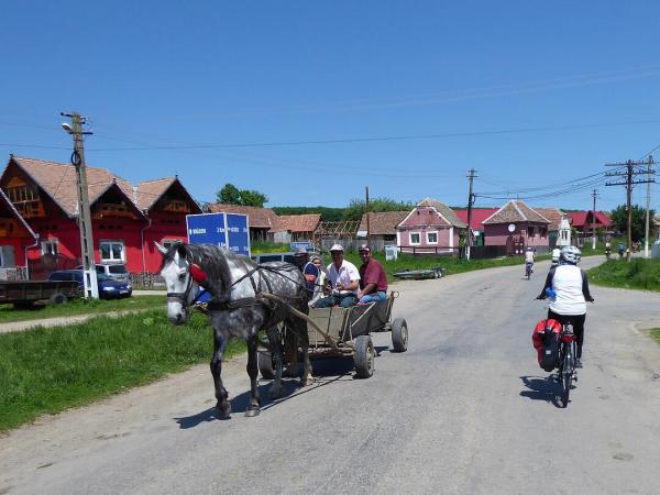 Transport mit dem Pferdewagen